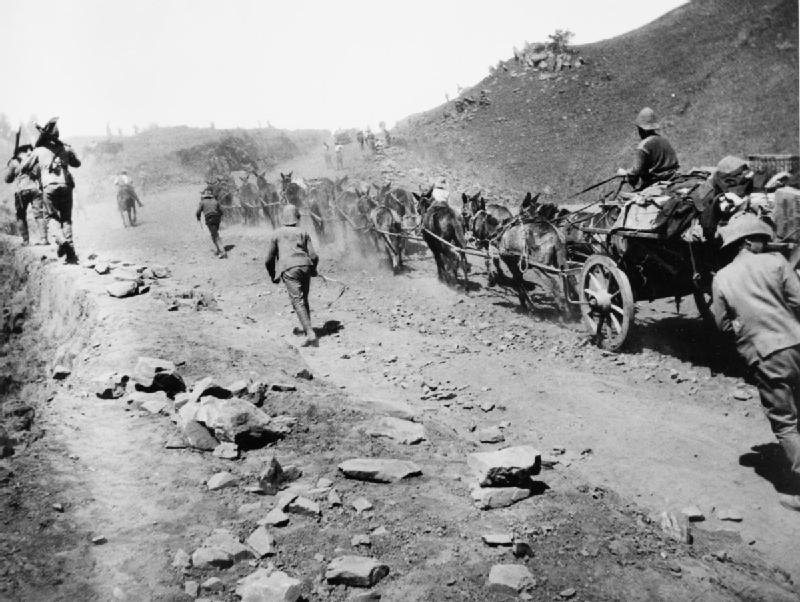 the_second_anglo_-_boer_war_south_africa_1899_-_1902_q72044